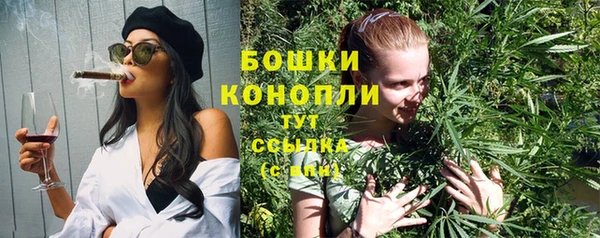 дурь Богородицк