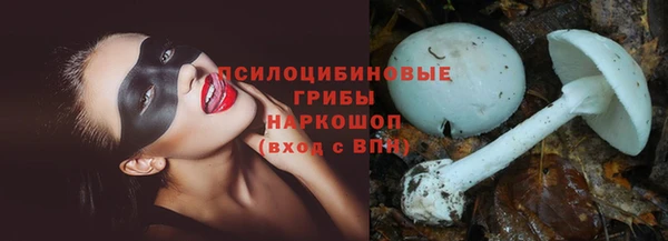 ПСИЛОЦИБИНОВЫЕ ГРИБЫ Богородск