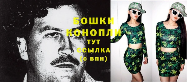 дурь Богородицк